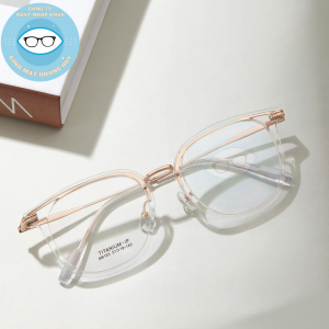 Gọng nhựa càng kính titanium mã 6163